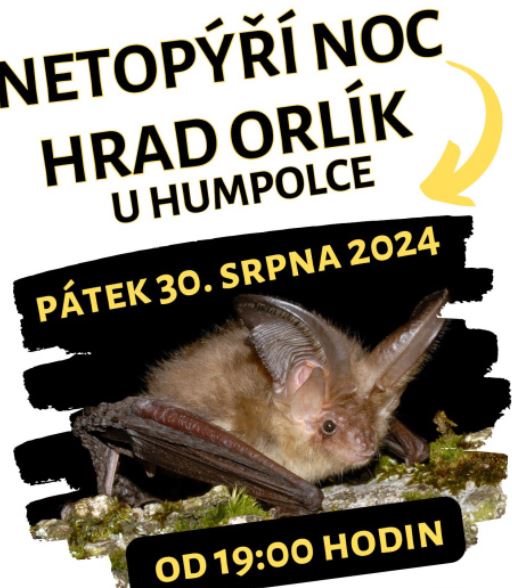 Netopýří noc